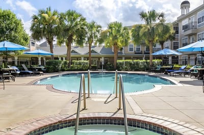 Outdoor pool area surrounded by palm trees