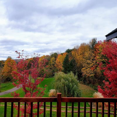 Lamb’s Creek West Adult Family Home — photo 2