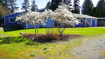 Exterior view of a senior living facility with flowering trees