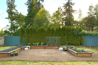 Well-maintained garden area with raised planters