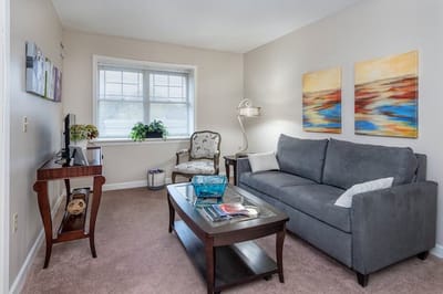 Cozy living room setup with modern decor