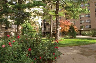 Outdoor area with garden and building in the background