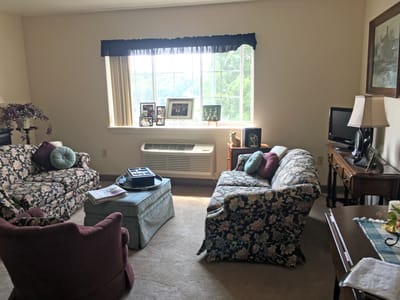 Cozy living room interior with floral couches and a window