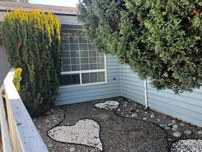 Well-maintained outdoor garden area with gravel and shrubs
