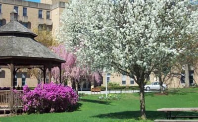 Outdoor space with gazebo and flowering trees.