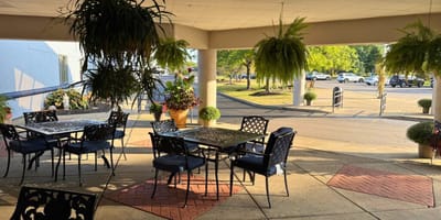 Outdoor seating area with tables and plants