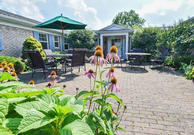 A serene outdoor space with seating and flowers