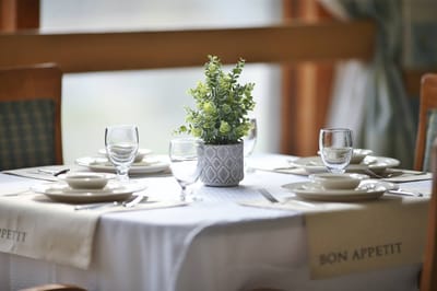 Beautifully set dining table with a plant centerpiece
