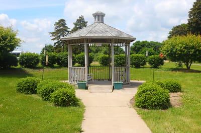 Garden gazebo surrounded by green shrubs