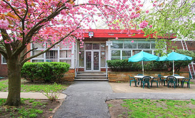 Exterior view of the facility with cherry blossom trees