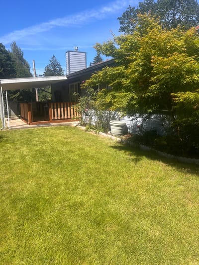 Outdoor space with lawn and greenery