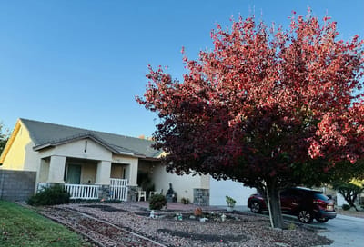 Exterior view of a residential senior living facility