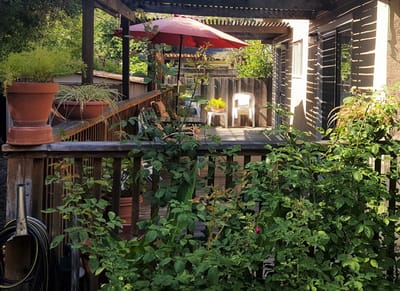 A serene outdoor deck with plants and a patio umbrella