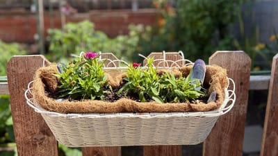 Hanging planter with bright flowers in a garden