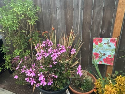Colorful flowers and a welcome sign in an outdoor space