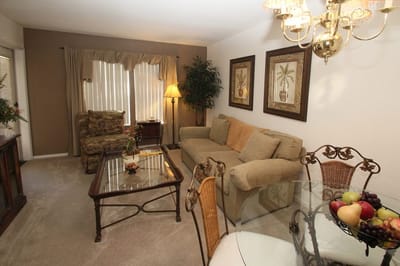 Cozy living area with comfortable furniture