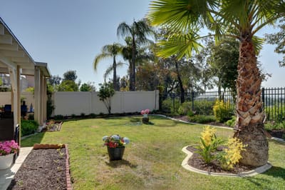 Beautifully landscaped outdoor space with flowers and palm trees