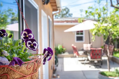 Hanging flower basket in an outdoor patio setting