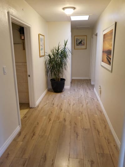 A well-lit hallway with a plant and artwork