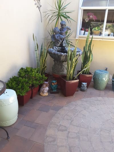 Garden area featuring a fountain and potted plants