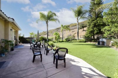 Outdoor seating area with palm trees and lawn