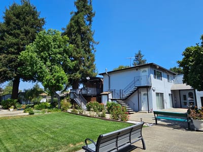 A sunny outdoor space with trees and seating