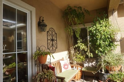 A cozy outdoor seating area with plants