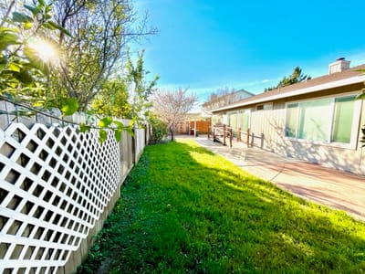 Sunny outdoor space with grass and wooden walkway