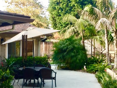 Outdoor patio area with seating and tropical plants
