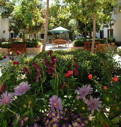 Beautiful garden courtyard with seating areas