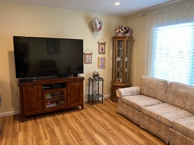 Cozy living room with a television and sofa