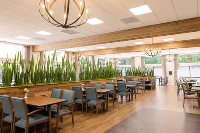 Bright dining room with elegant decor and plants