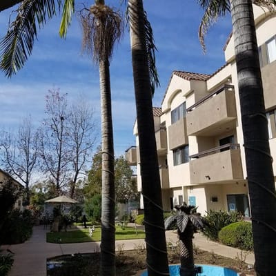 View of the facility exterior with palms and garden