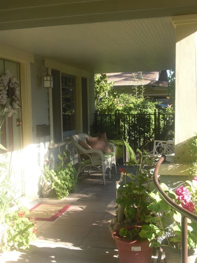 Quiet outdoor seating area with plants