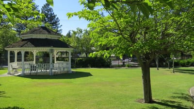 A gazebo surrounded by lush greenery in a garden