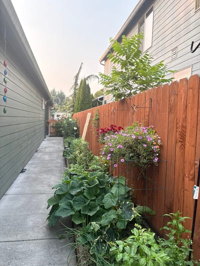 A vibrant garden path lined with flowers and plants