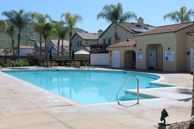 Swimming pool area surrounded by palm trees