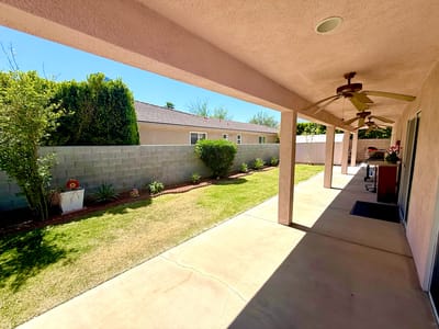 A shaded outdoor area with grass and plants