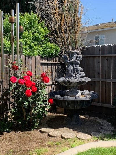 A decorative outdoor fountain surrounded by roses