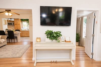 Bright interior space with a console table and plants