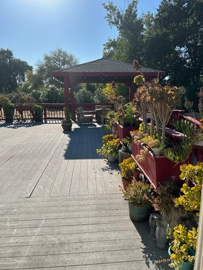 Outdoor shaded patio with flowers and seating