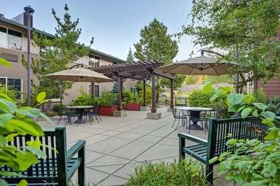 A serene outdoor space with seating and shade