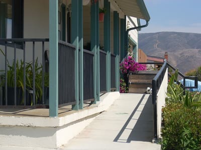 Outdoor space with flowers and a walkway