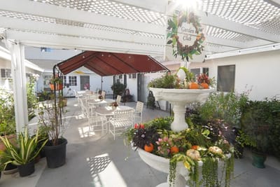 An outdoor patio area decorated with flowers