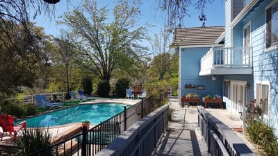Swimming pool area with lounge chairs and greenery