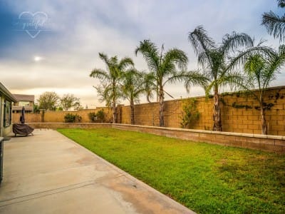 Outdoor area with palm trees and green grass