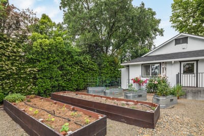Garden area with raised beds and flowers