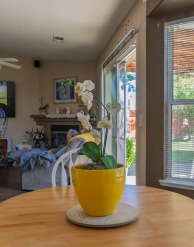 A potted orchid on a table in a cozy common area