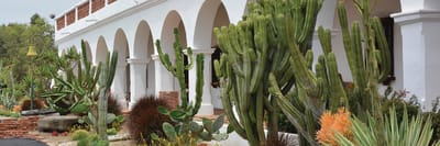 Outdoor landscaping with cacti and arches