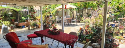 A beautiful outdoor garden area with seating